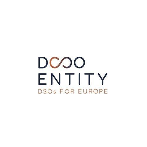 EU DSO Entity 