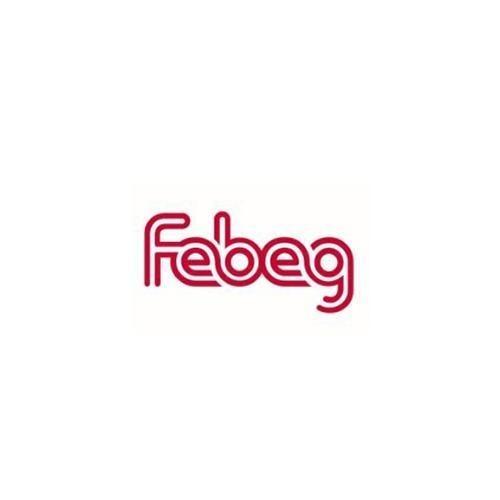 Febeg